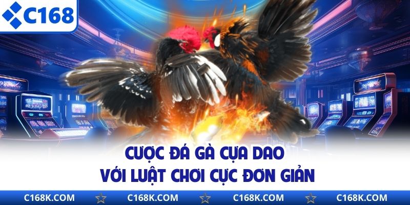 Cược đá gà cựa dao với luật chơi cực đơn giản